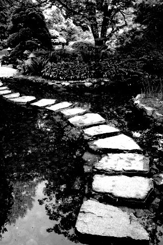 Дорожка через пруд обои