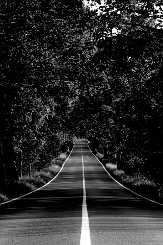 Под горку и в лес обои