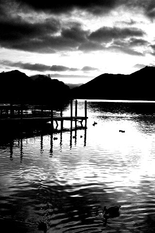 Причал на озере и утки обои