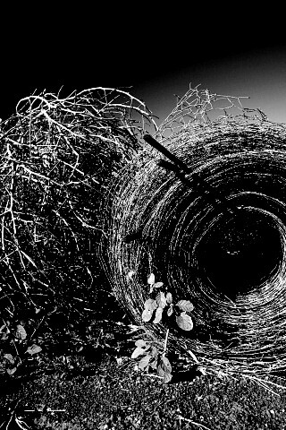 Клубок сена обои