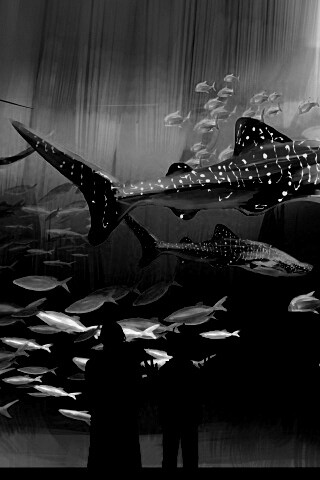 Двое в океанариуме обои