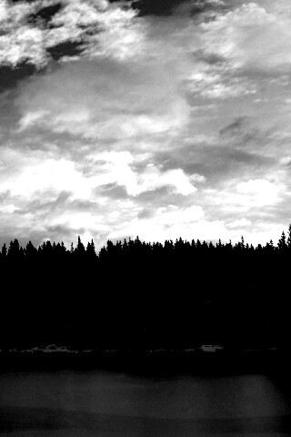 Лес на озере обои