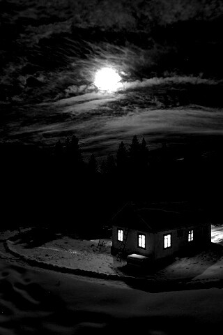 Один в зимнем лесу обои