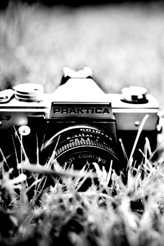 Фотоаппарат Praktica в траве обои