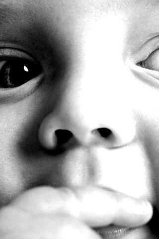 Что-то замышляет... обои