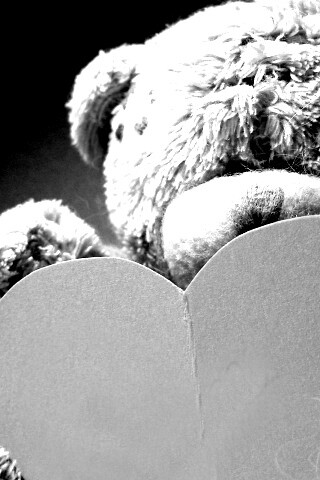 Мишка с сердцечком обои