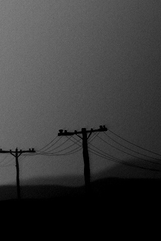 Столбы в тумане обои