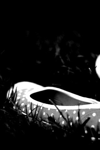 Красные тапки в горошек обои