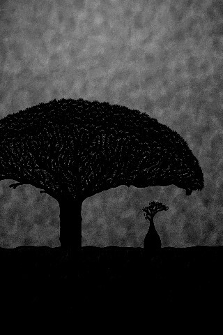 Нарисованное деревце обои