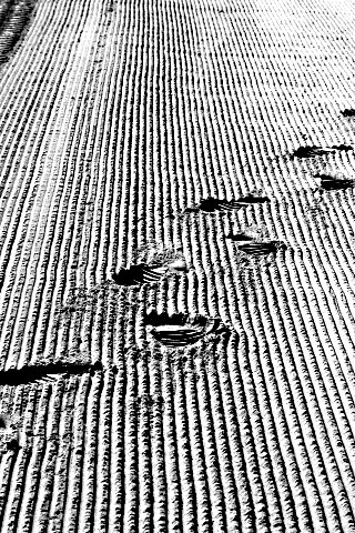 Следы на песке обои