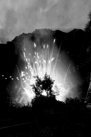 Взрыв в кустах обои