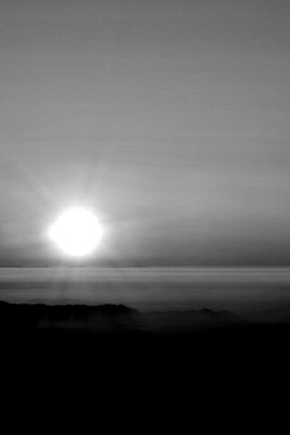 Восход солнца над лесом обои