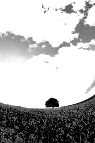 Искаженный мир обои