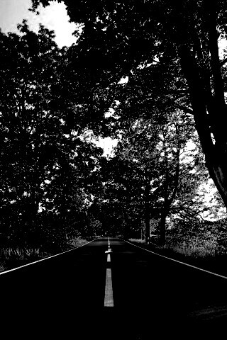 Прямая дорога обои