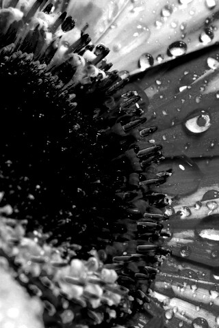 Цветик семицветик обои