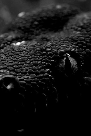 Страшно красивая обои