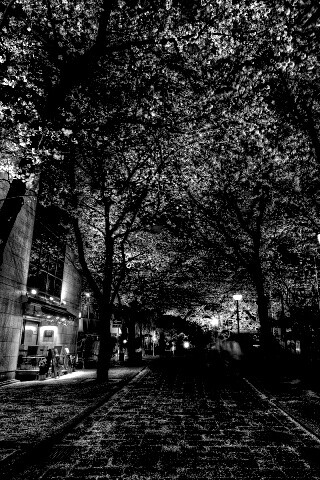 Аллея лепестков обои