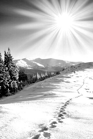 Холодные лучи зимнего солнца обои