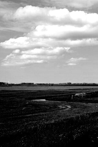 дом на лугу обои