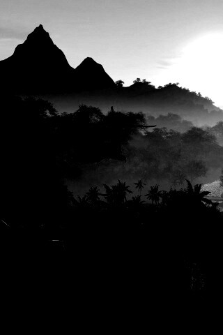 Вертолет над тропиками в crysis обои