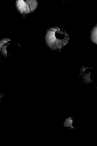 Карандаши обои