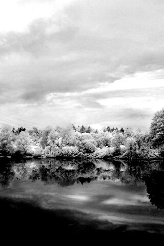 Зимний пейзаж обои