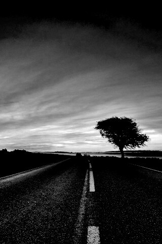 Дорога обои