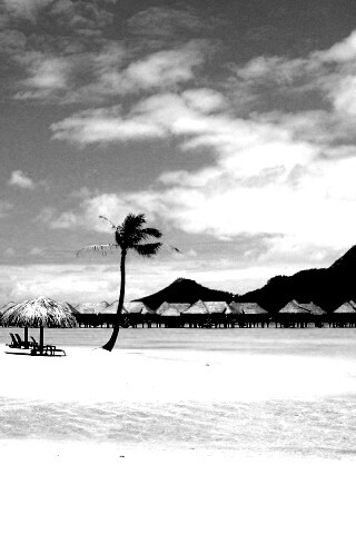 Побережье Бора-бора обои