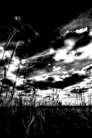 HDR Поле обои