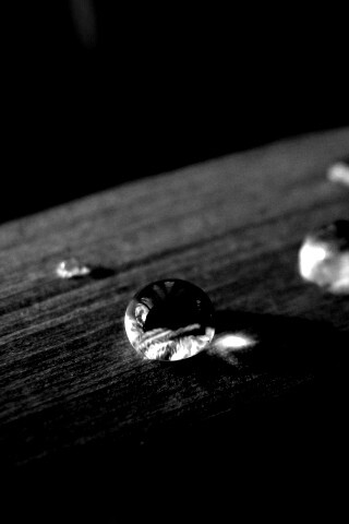 Капли росы на листе обои