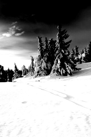 Зимние просторы обои