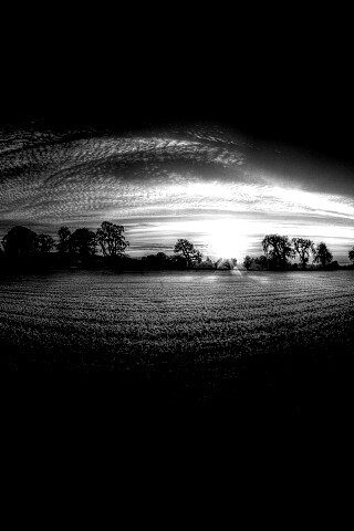 Поле широкоугольным объективом обои