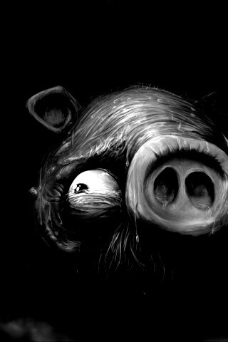 Свинья из Angry Birds обои