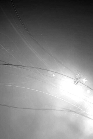 Оригинальные обои Windows 7 обои