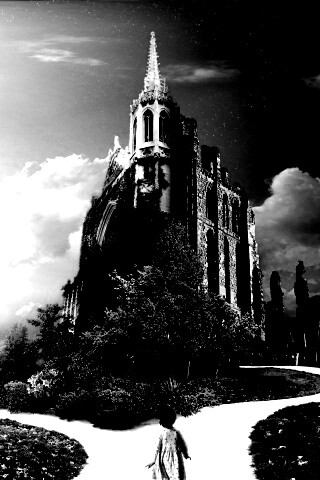 Ты выбираешь свой путь обои