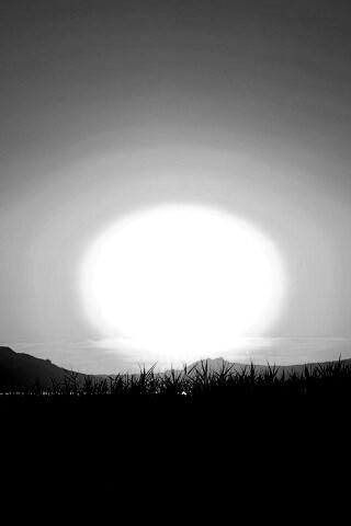 Сельский закат обои