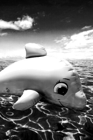 Надувной розовый дельфин обои