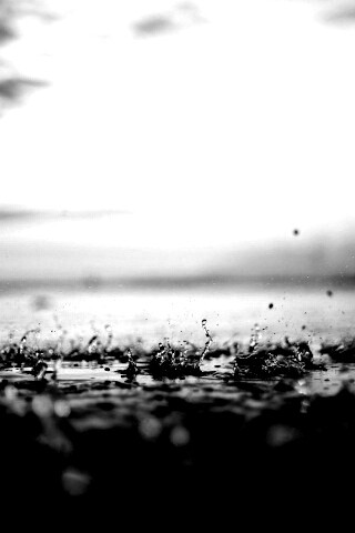 Дождь в макро обои