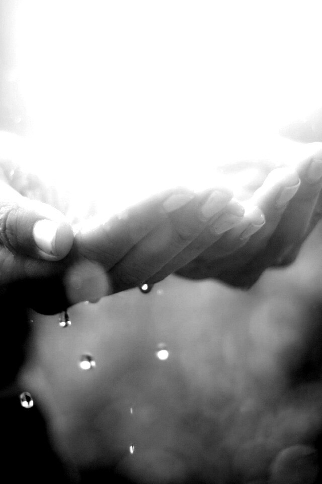 Дождь в ладонях обои