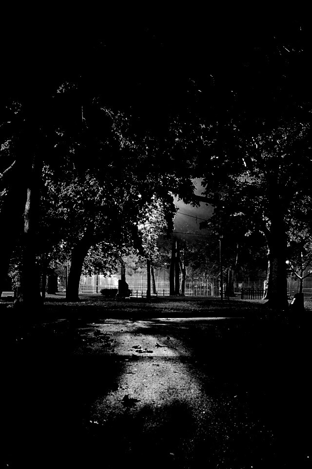 Ночной парк обои