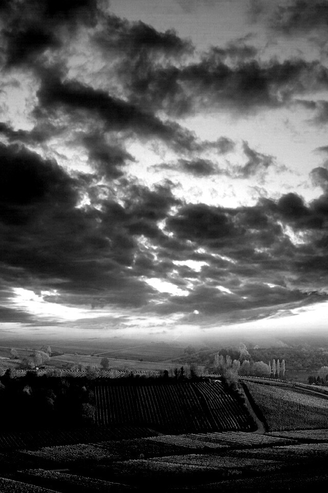 Обработанные земли в пригороде обои