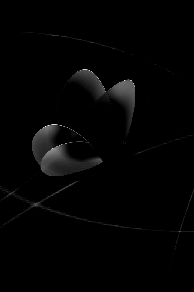 Бабочка с радужными крыльями обои