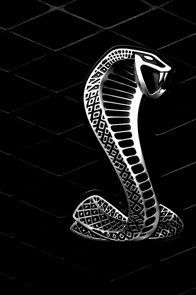 Логотипа Форда Шелби обои