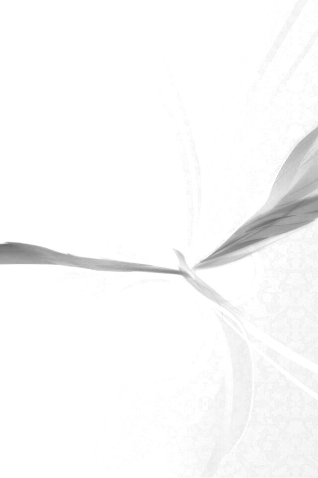 Силуэт птицы обои