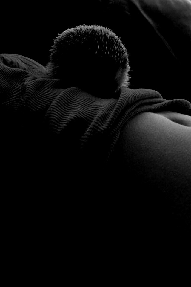 Девушка и ёжик обои