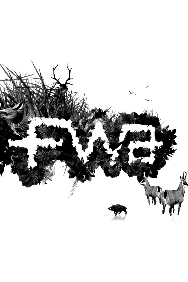 FWA обои