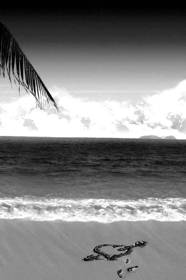 Любовь на океанском берегу обои