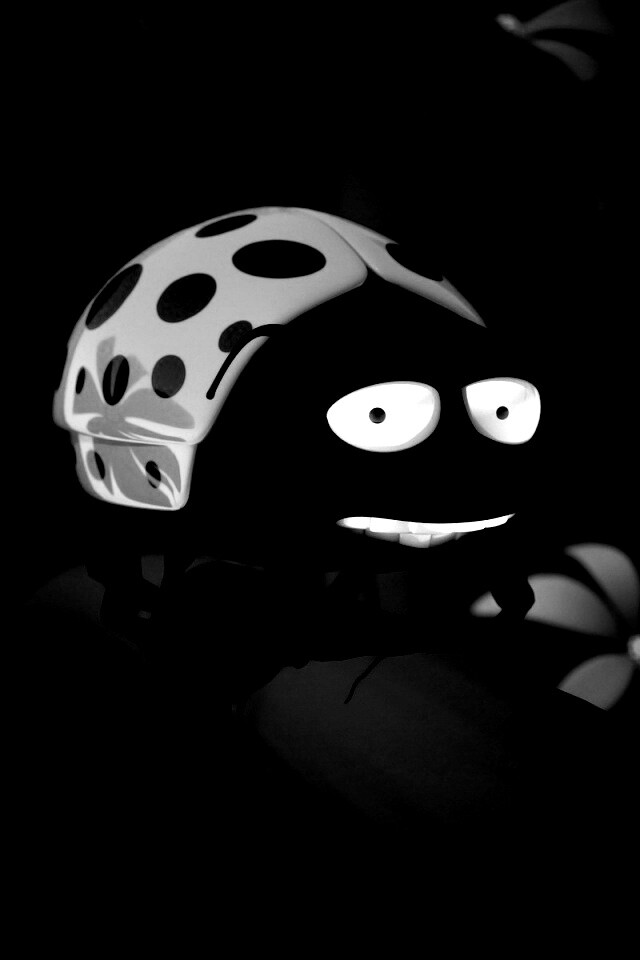 Глазастая божья коровка обои