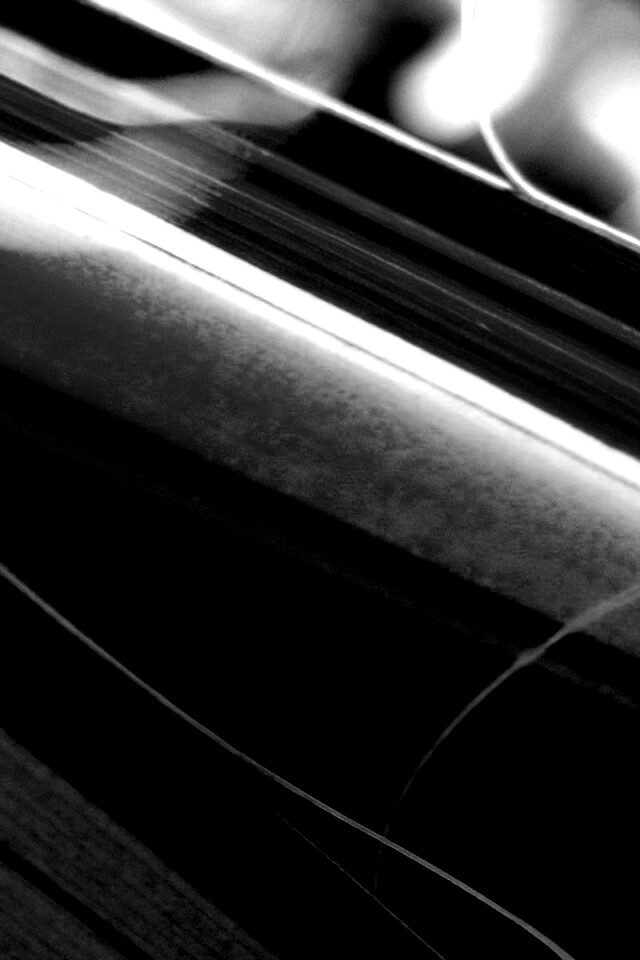 Желто-зеленые травинки обои