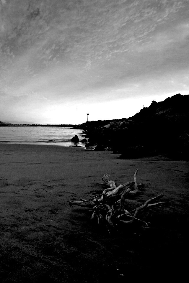 Коряга не берегу обои